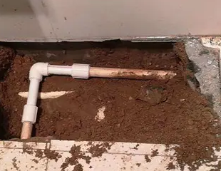 陇西测漏水哪家好