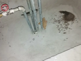 陇西卫生间测漏水价格明细