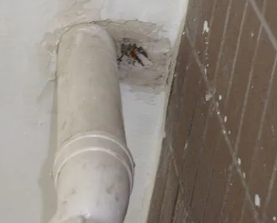 陇西漏水检测哪家好